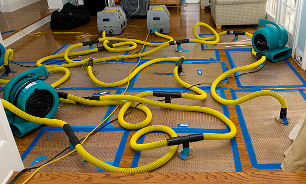 Professional Sewage Cleanup technician working in Sunnyvale, TX